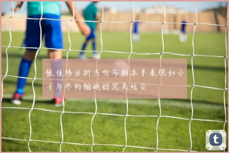 张佳玮分析杰伦布朗本季表现如小卡与乔约翰逊的完美结合