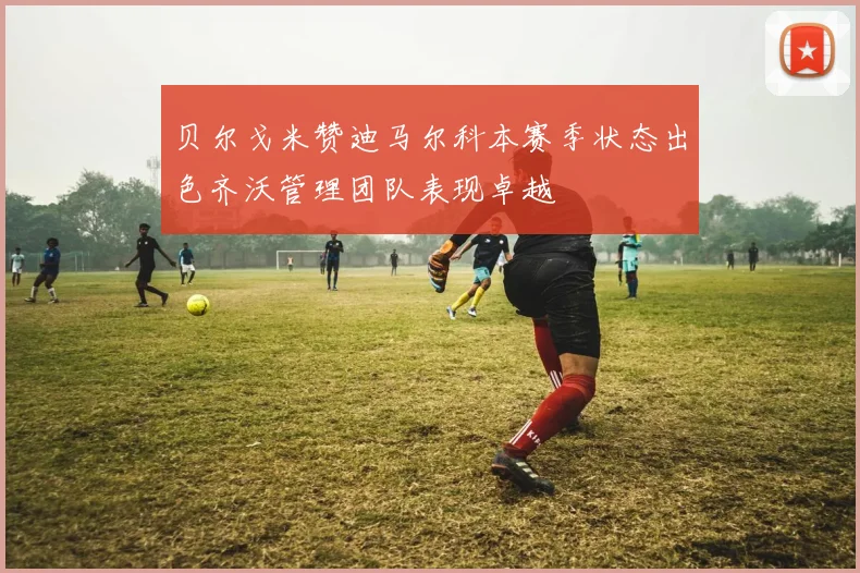 贝尔戈米赞迪马尔科本赛季状态出色齐沃管理团队表现卓越