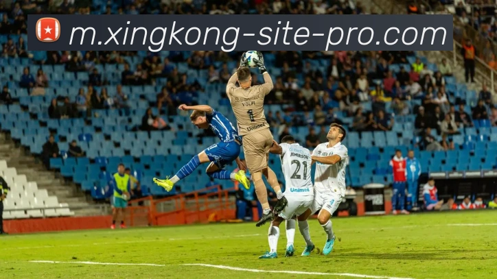 星空体育发展历程